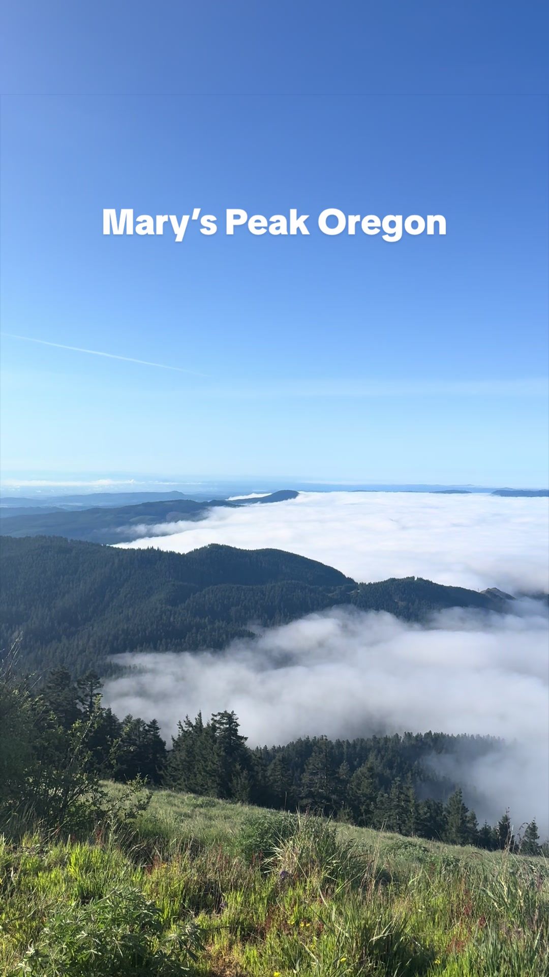 Marys Peak