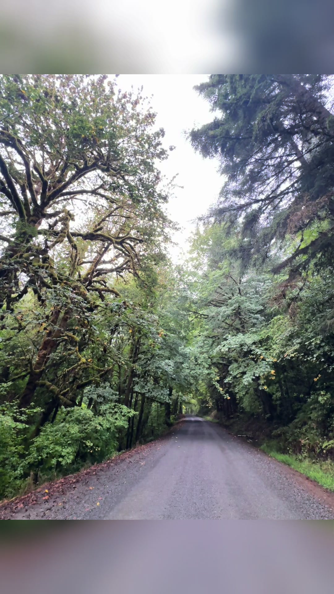 Marys Peak
