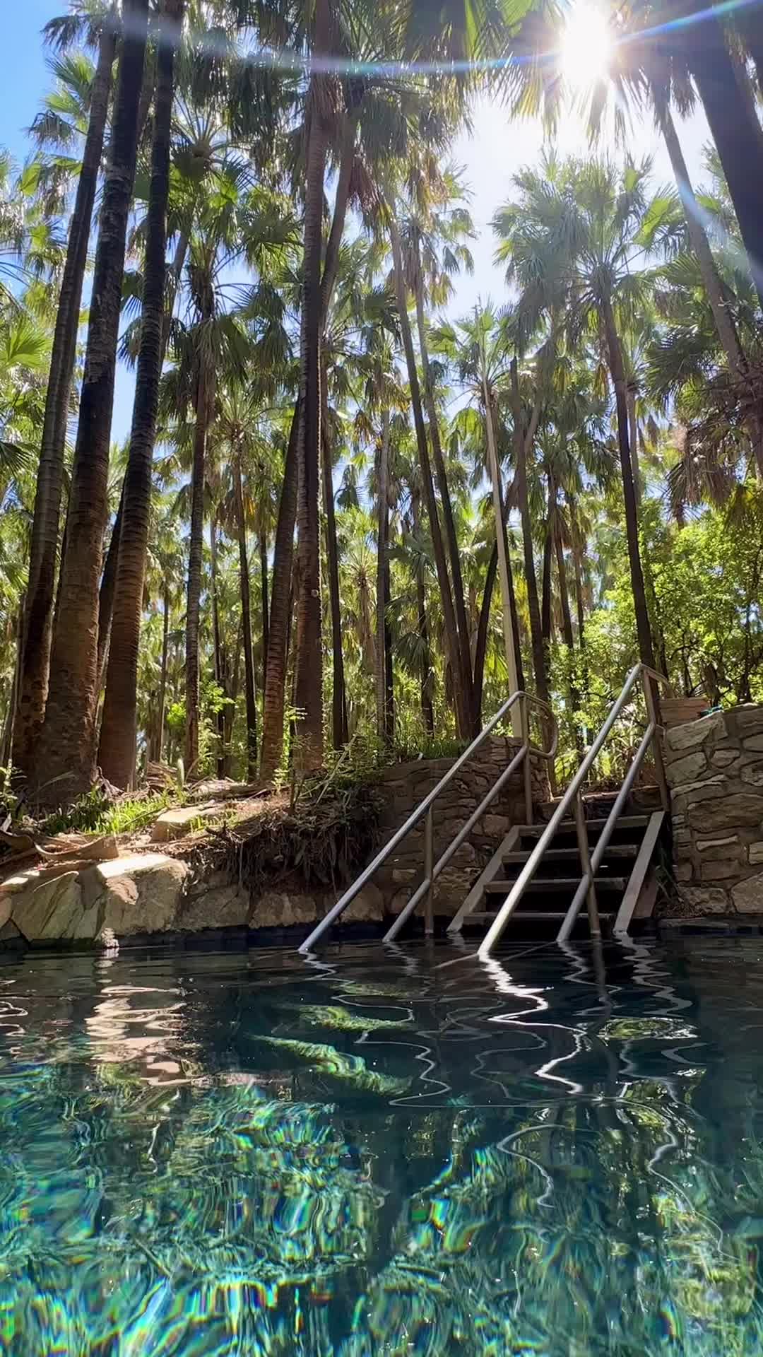 Mataranka Hot Springs