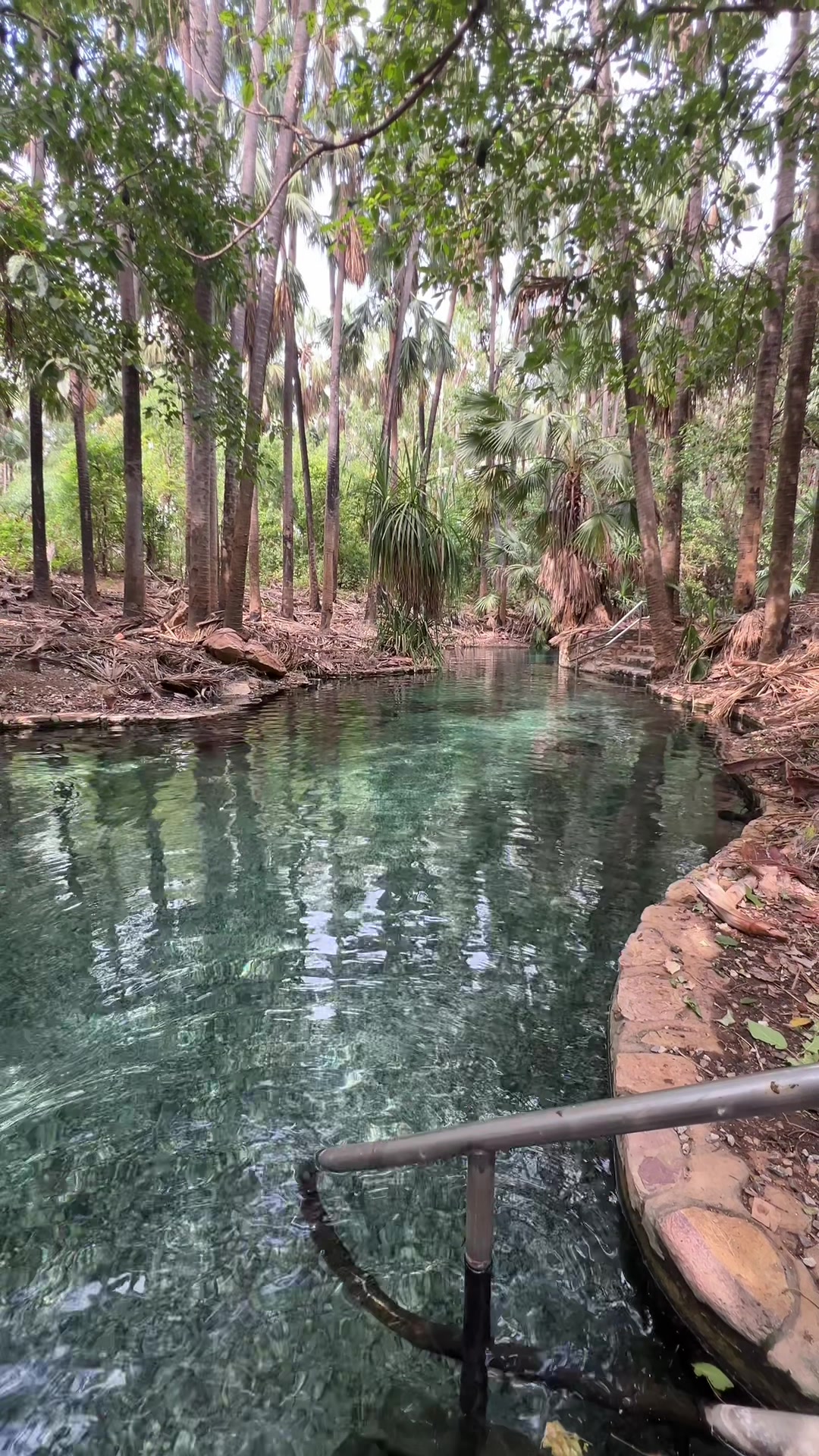 Mataranka Hot Springs