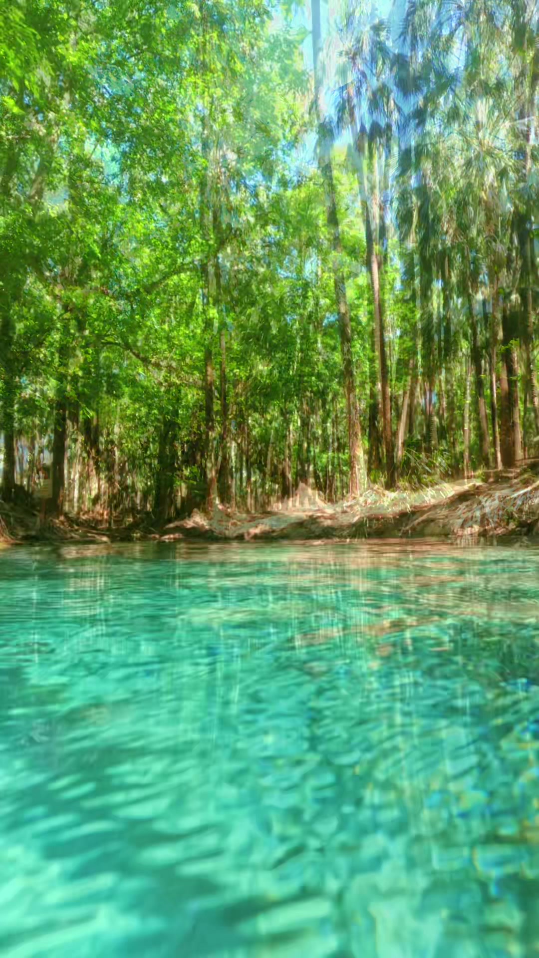 Mataranka Hot Springs
