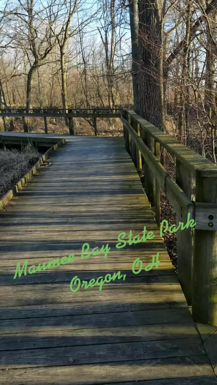 Maumee Bay State Park