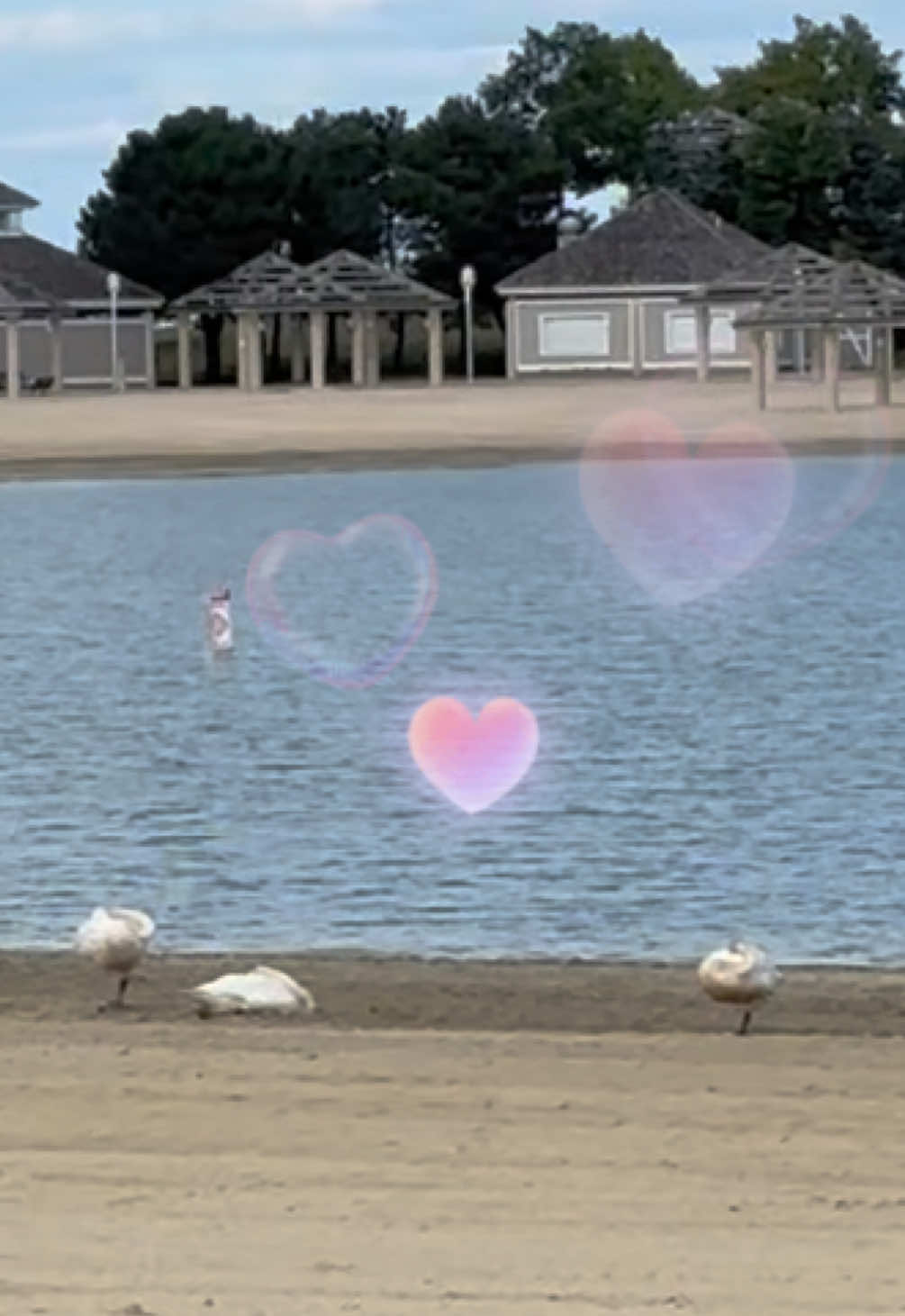 Maumee Bay State Park