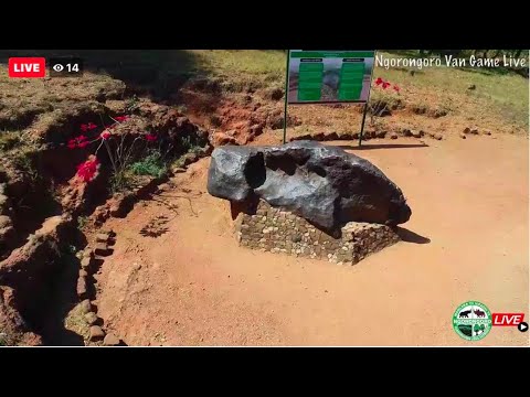 Mbozi Meteorite