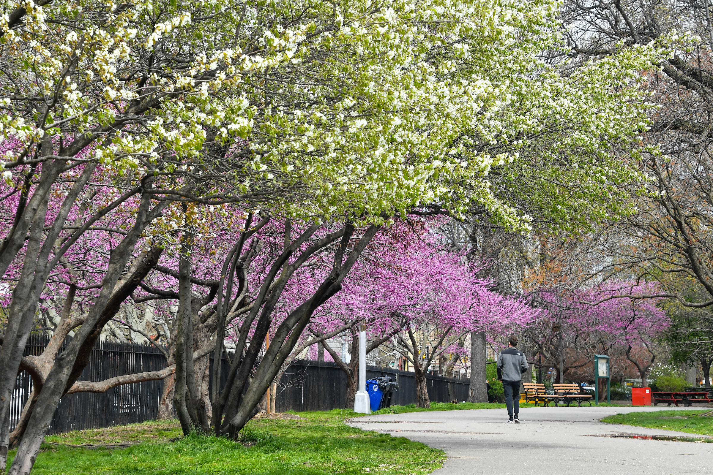McCarren Park