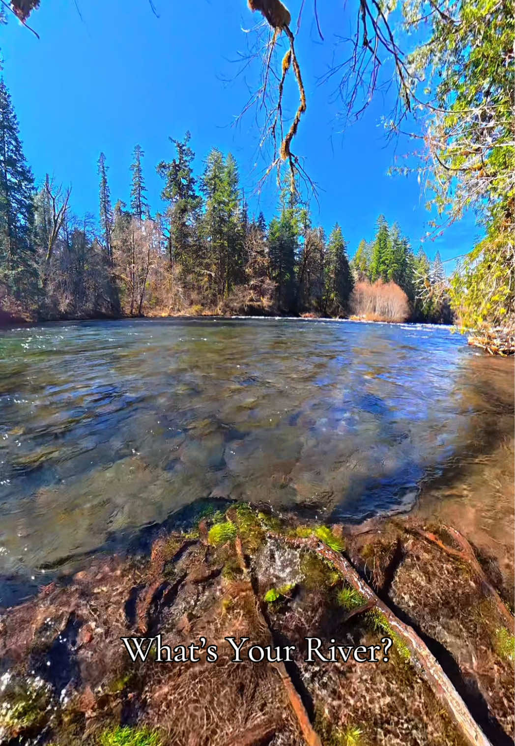 McKenzie River Valley