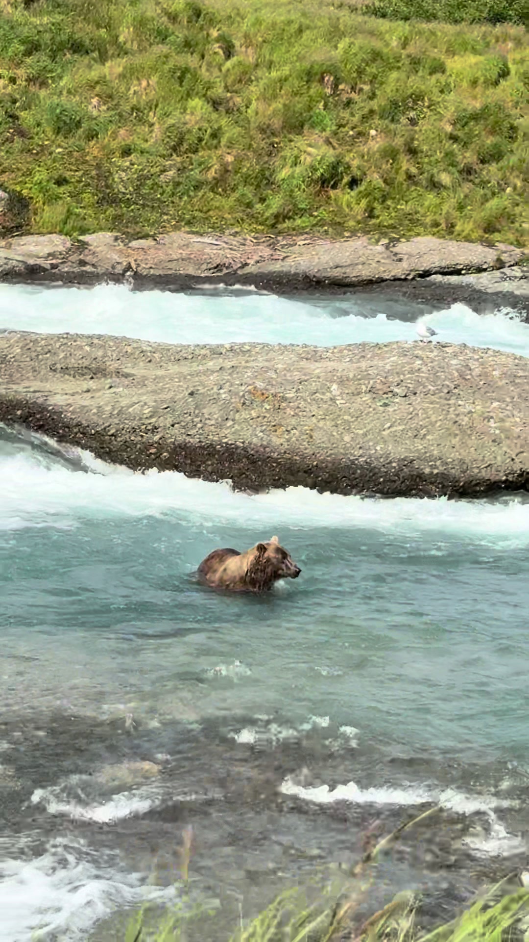 McNeil River State Game Sanctuary