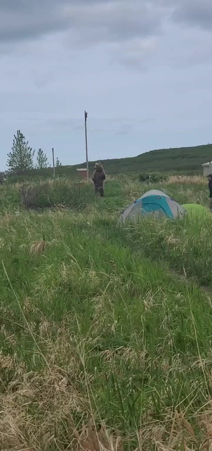 McNeil River State Game Sanctuary