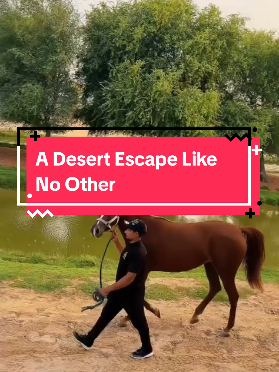 מדבר אל מארמודר (Al Marmoom Desert Conservation Reserve)