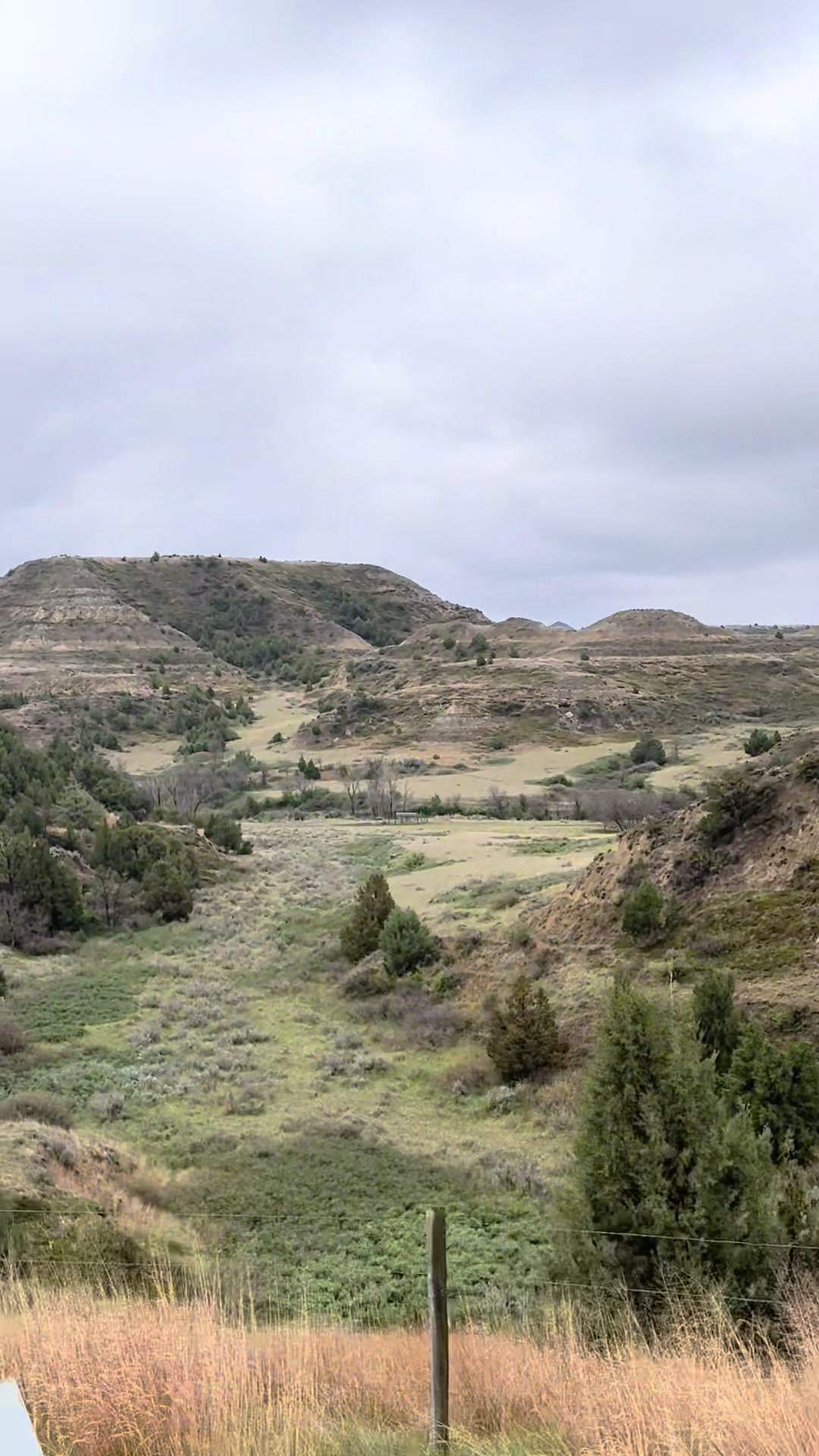 Medora