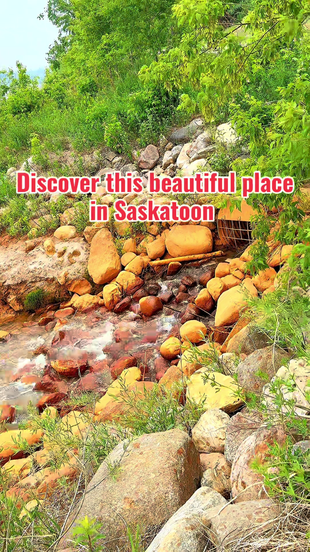Meewasin Valley Trail (Saskatoon)