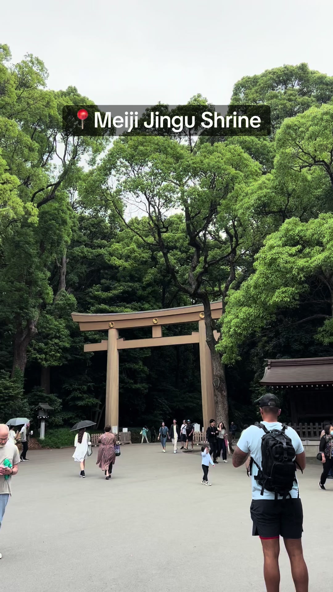 Meiji Jingu Shrine