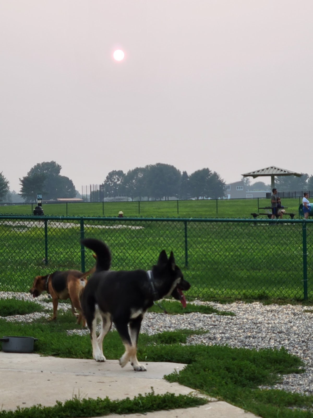 Mercer County Park Dog Park