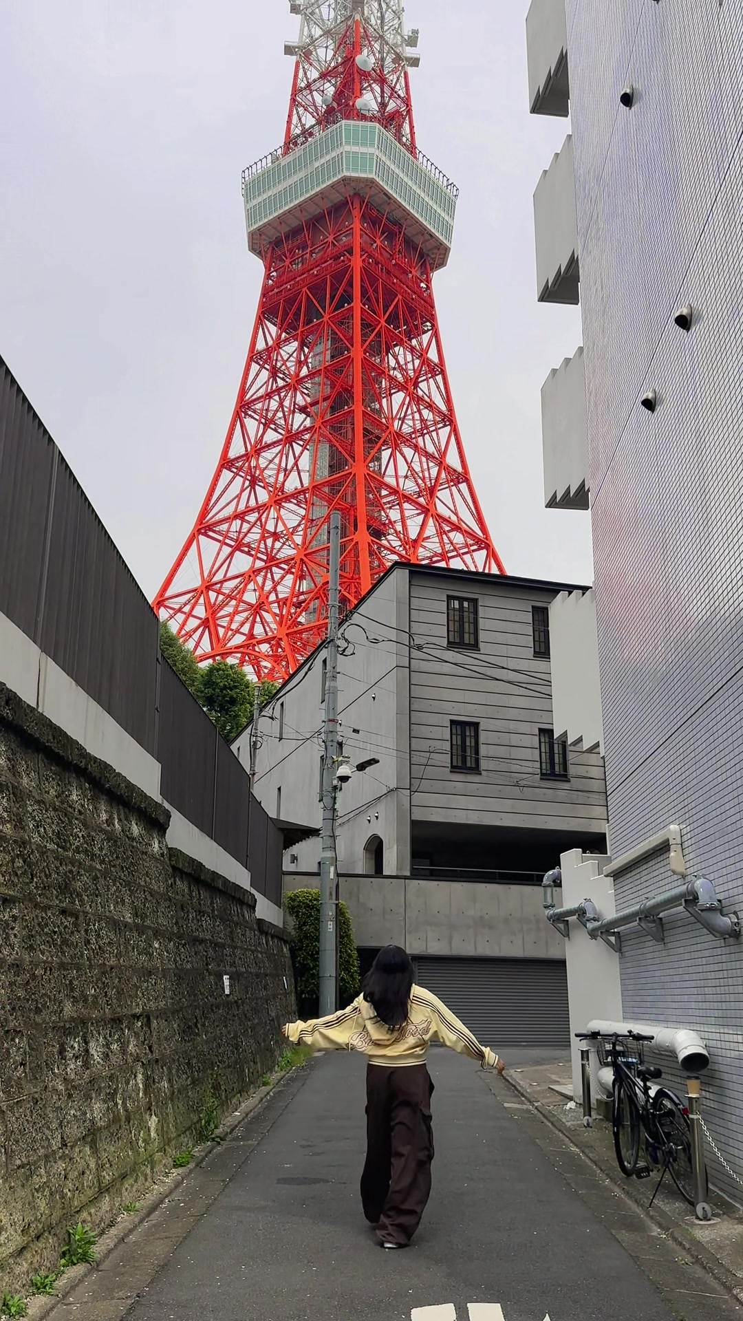 מגדל טוקיו (Tokyo Tower) או פארק שימור מסורת טוקיו