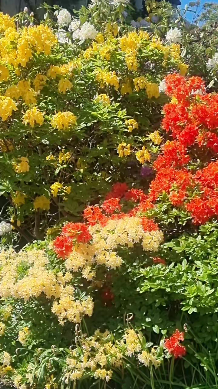 Millesgarden