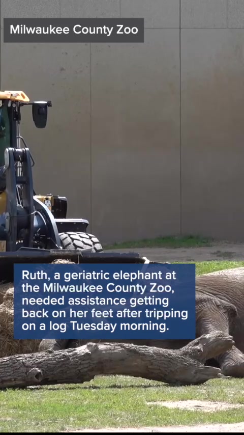 Milwaukee County Zoo