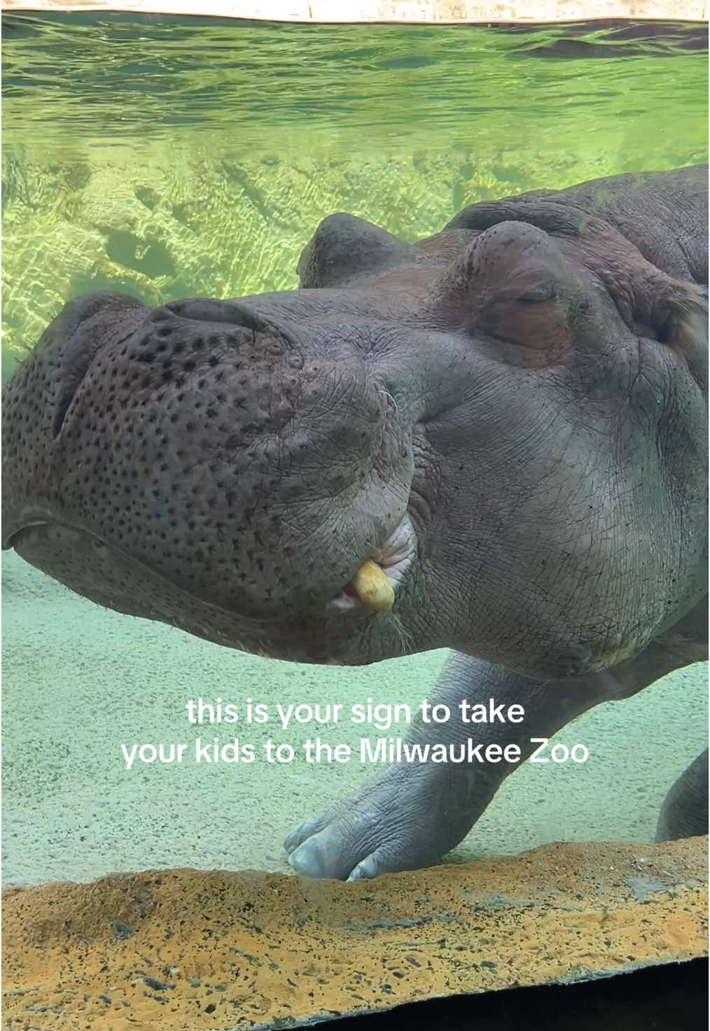 Milwaukee County Zoo