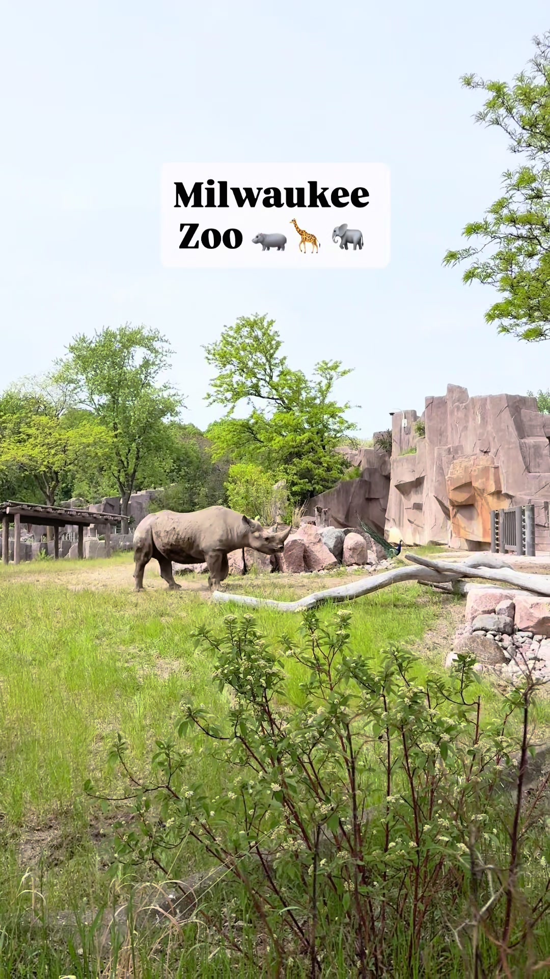 Milwaukee County Zoo