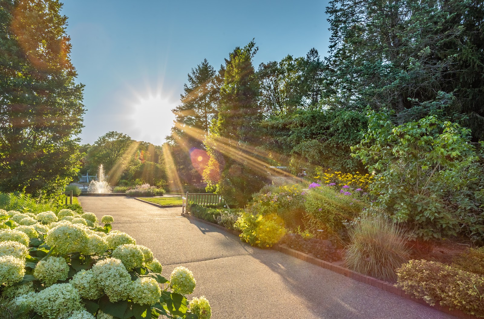 Minnesota Landscape Arboretum