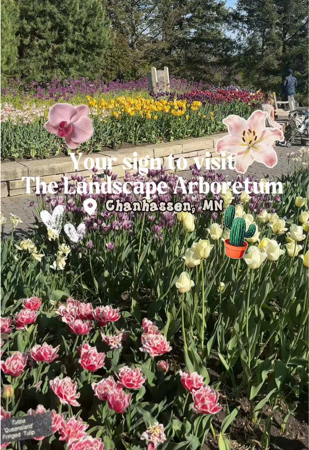 Minnesota Landscape Arboretum