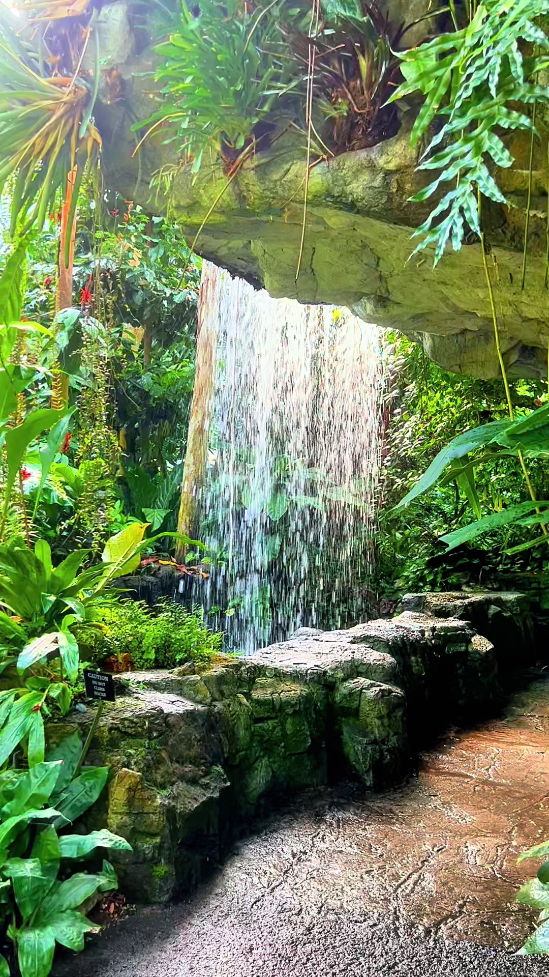 Missouri Botanical Garden
