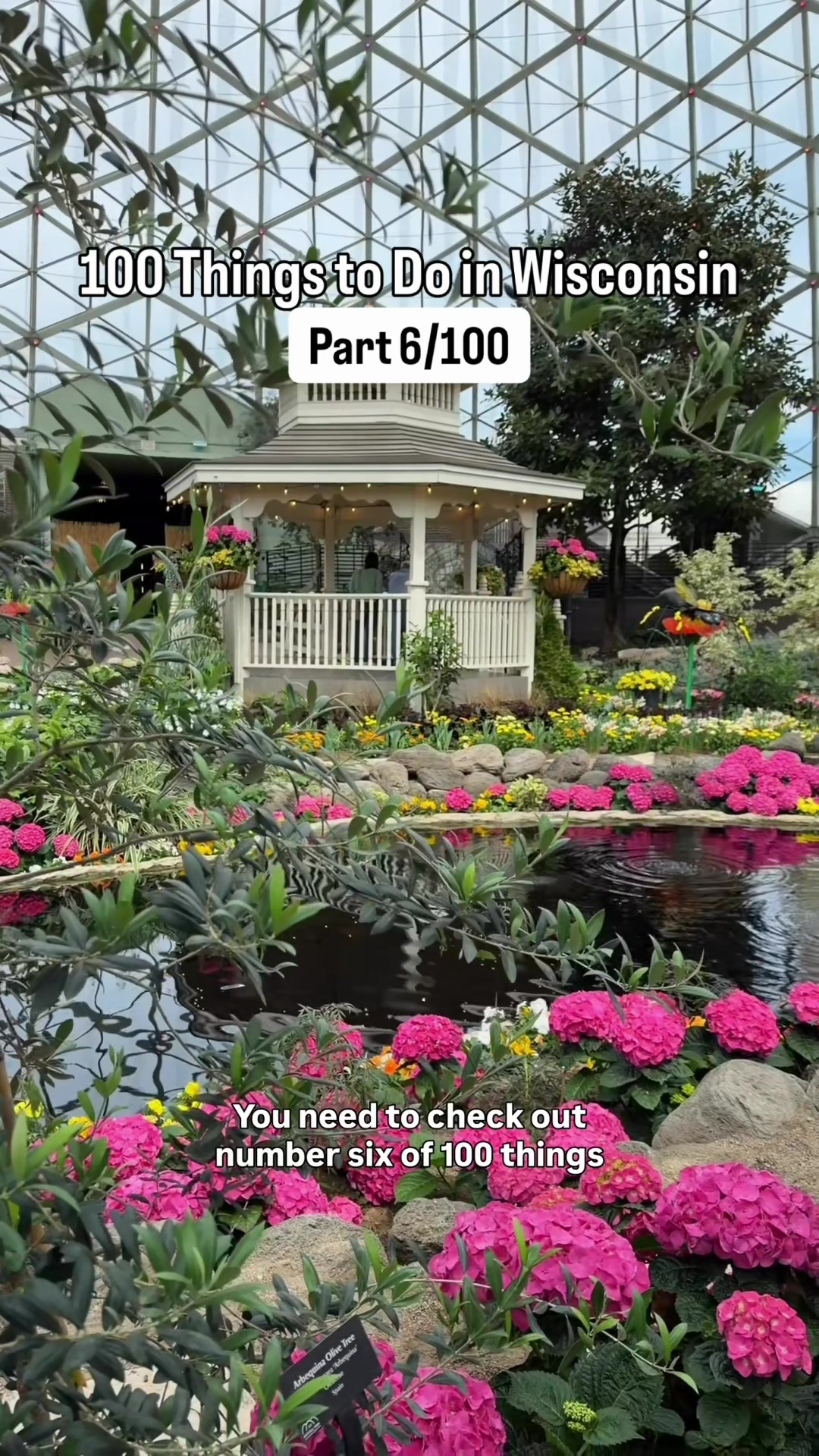 Mitchell Park Horticultural Conservatory (The Domes)