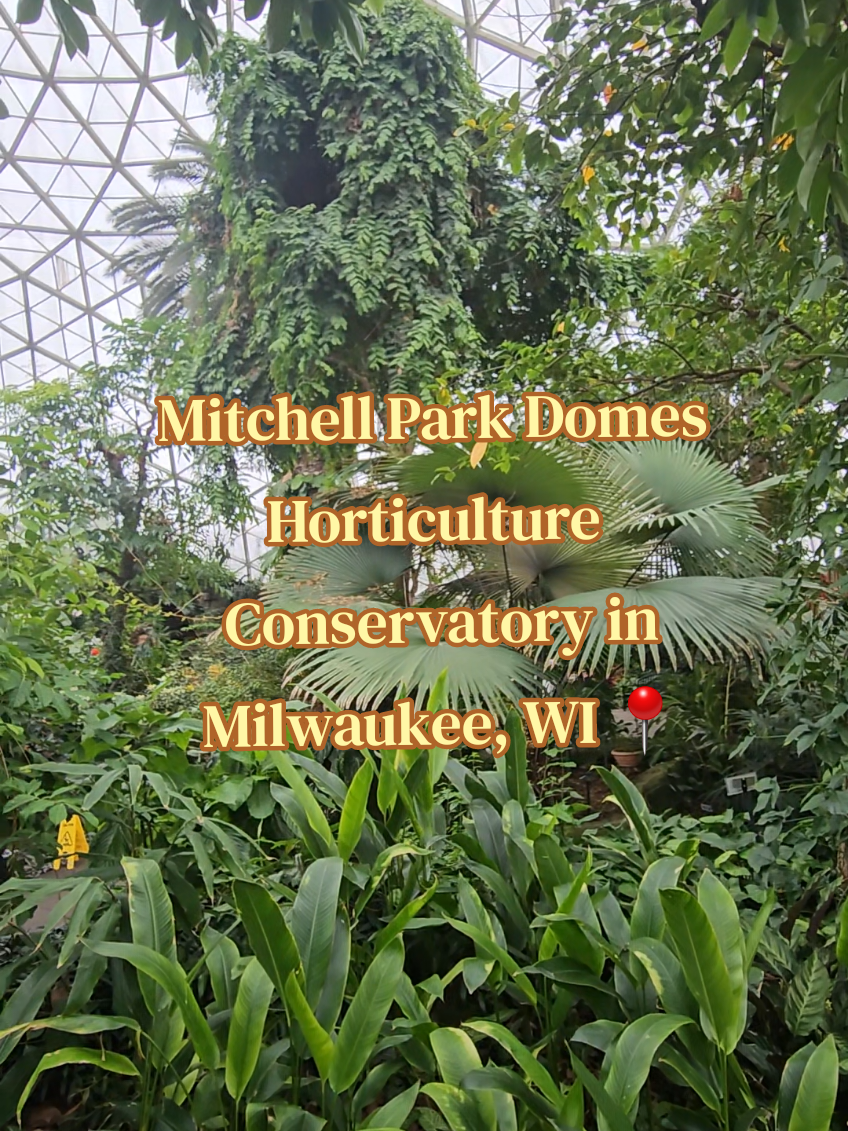 Mitchell Park Horticultural Conservatory (The Domes)