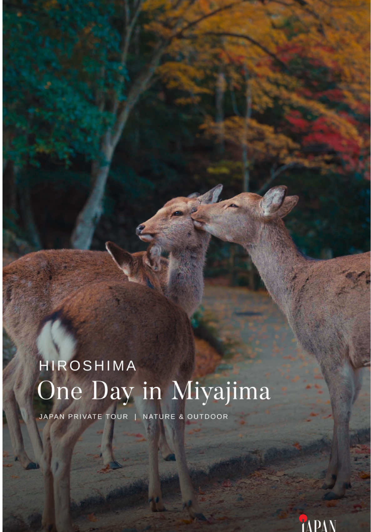 Miyajima (Itsukushima Shrine)
