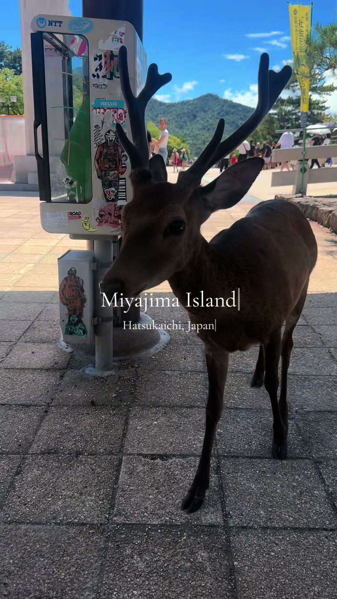 Miyajima