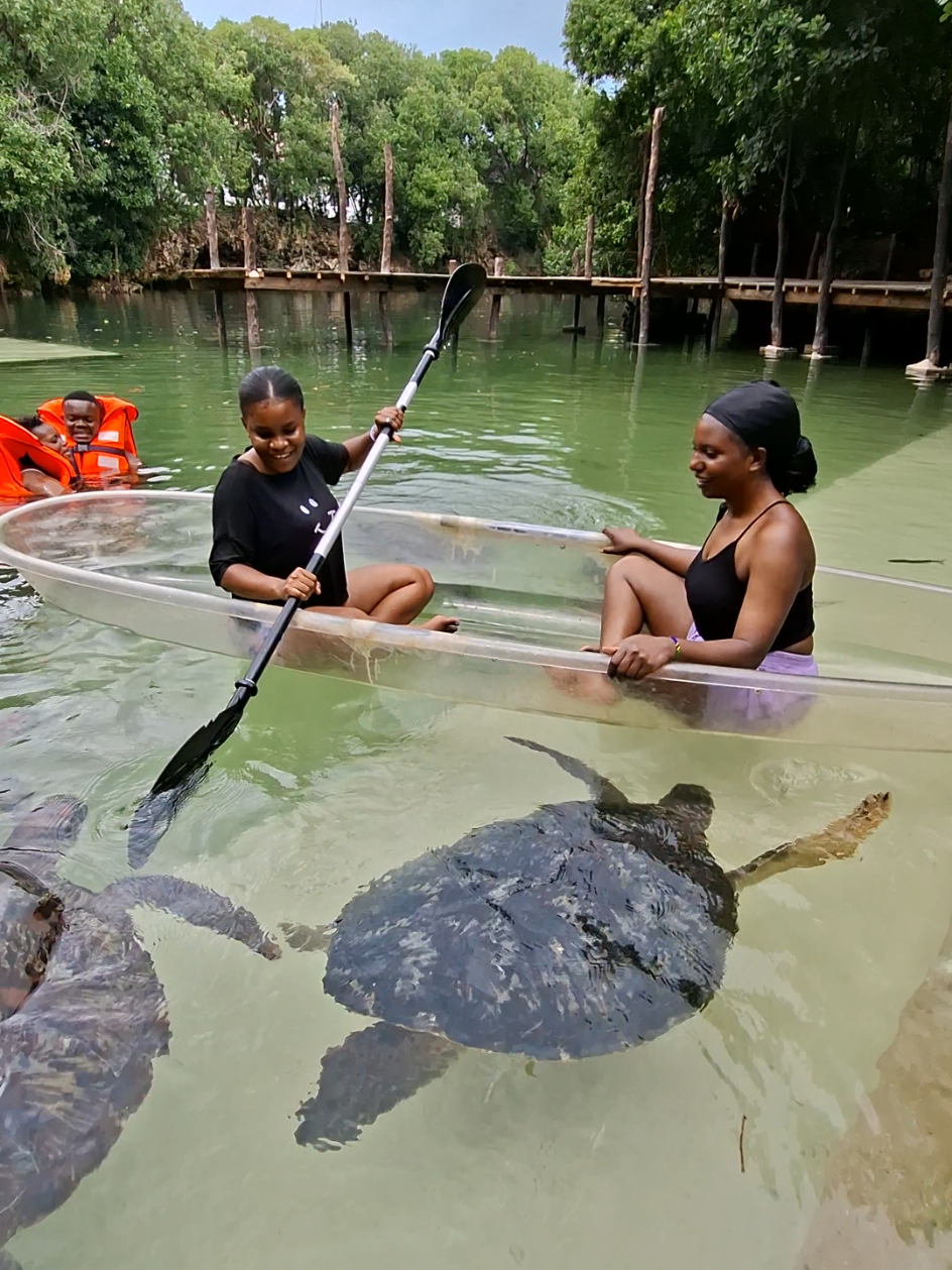 Mnarani Marine Turtles Conservation Pond