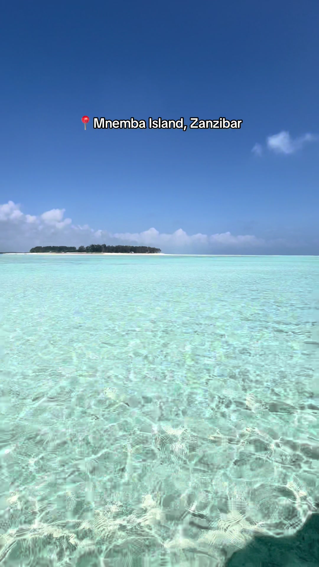 Mnemba Island