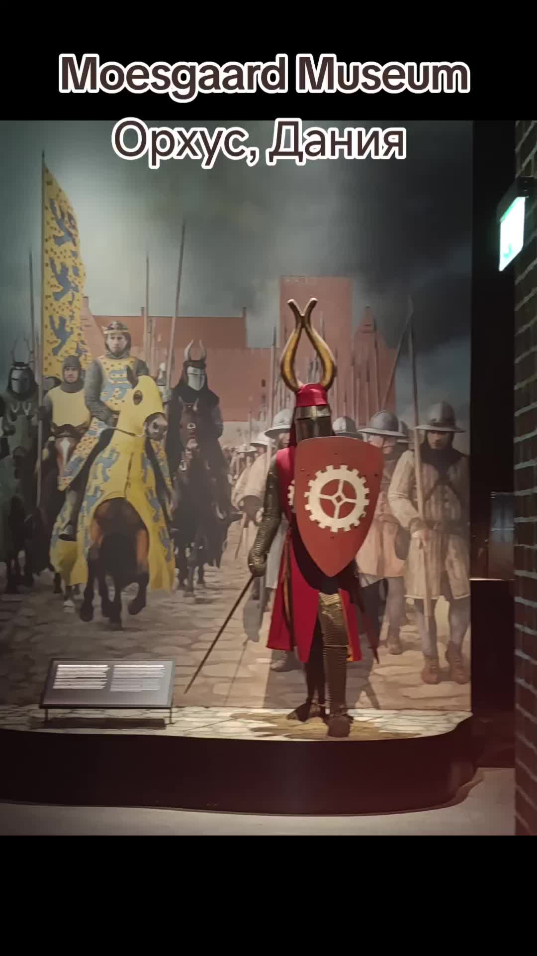 Моэсгордский музей (Moesgaard Museum)