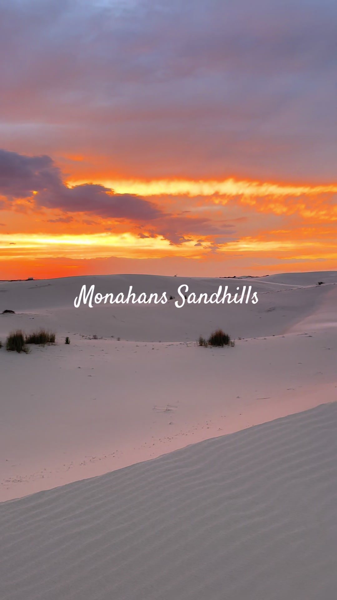 Monahans Sandhills State Park