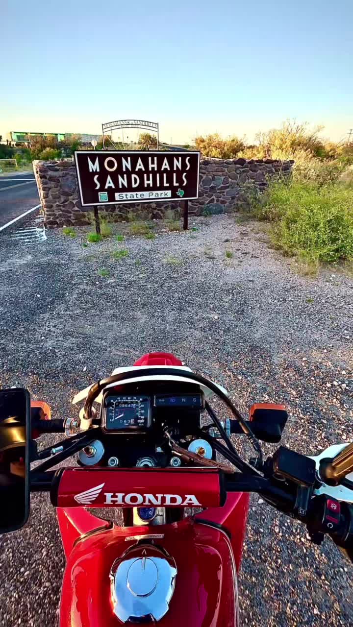 Monahans Sandhills State Park