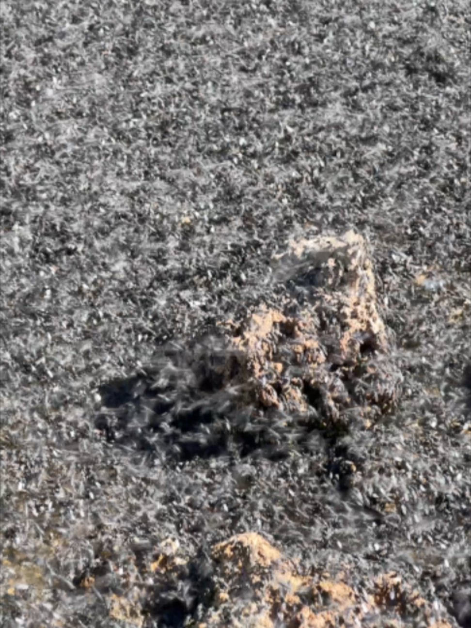 Mono Lake