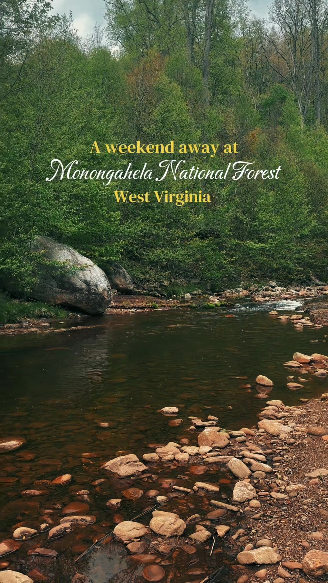 Monongahela National Forest