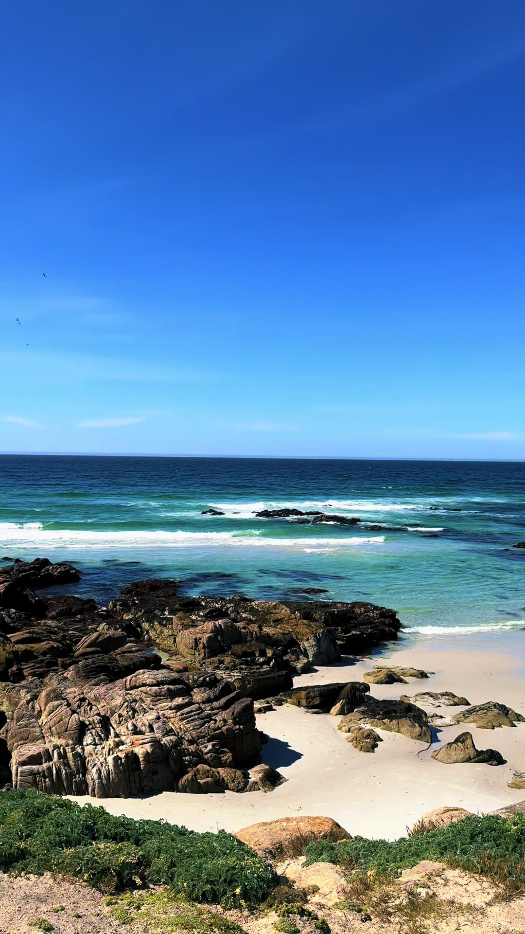 Monterey