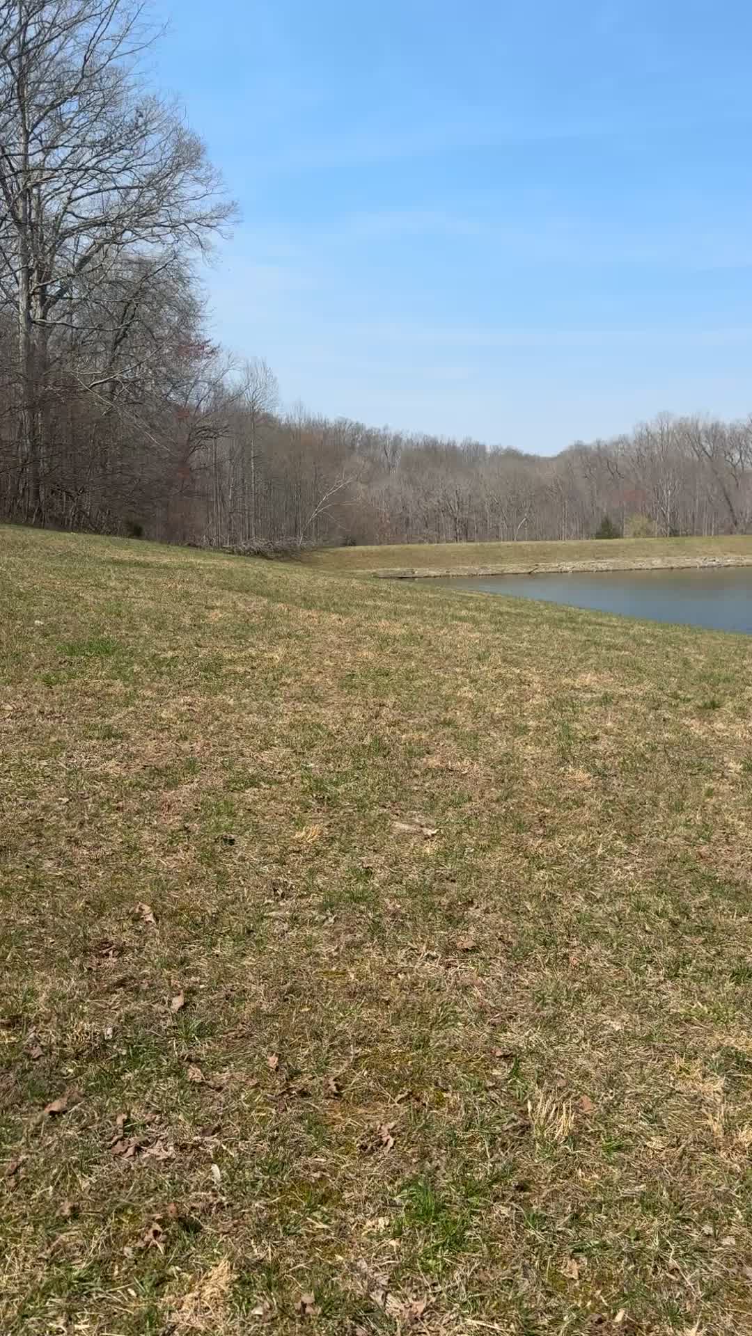 Montgomery Bell State Park