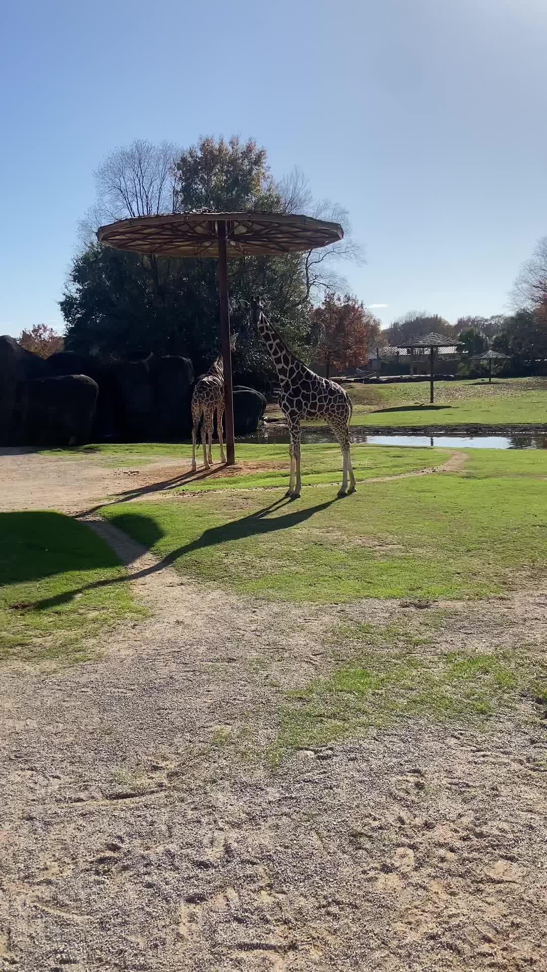 Montgomery Zoo