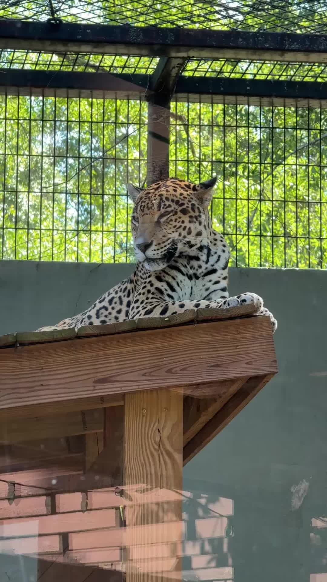 Montgomery Zoo