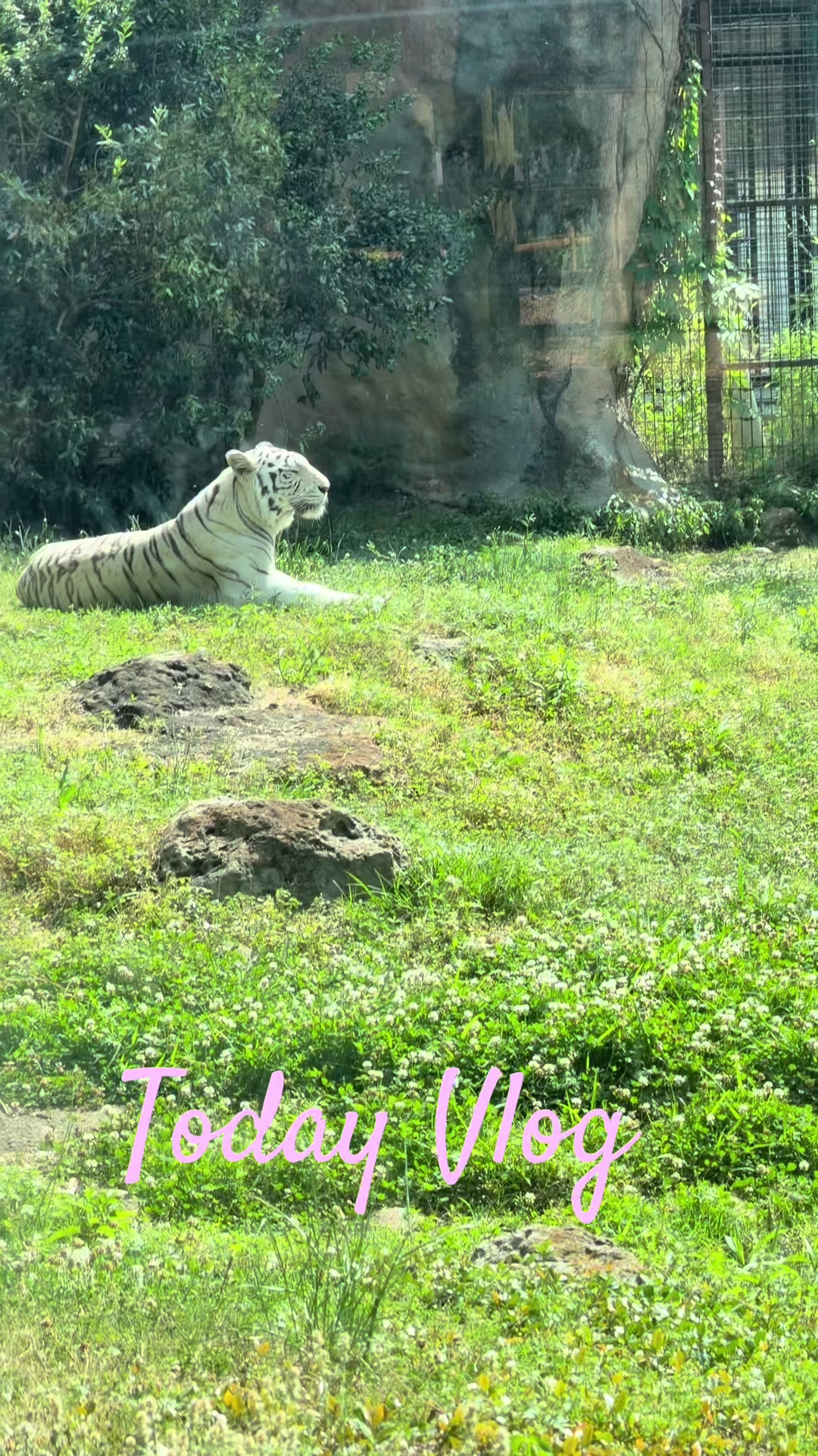 Montgomery Zoo