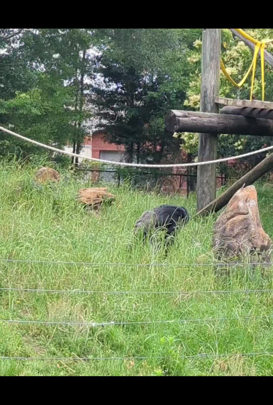 Montgomery Zoo
