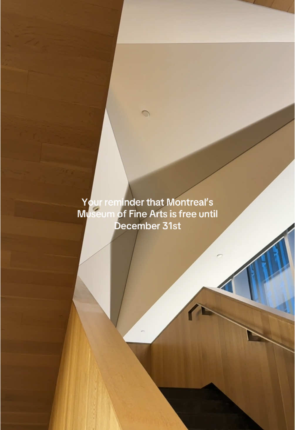 Montreal Museum of Fine Arts (Musée des beaux-arts de Montréal)