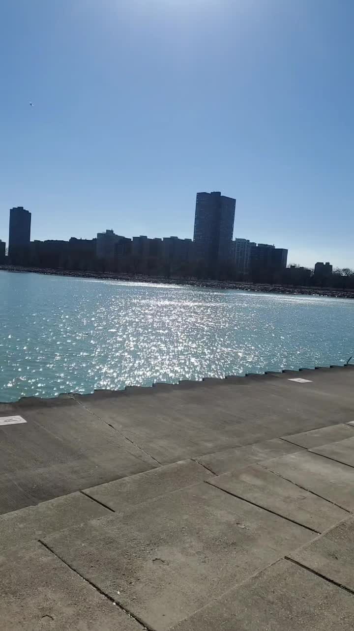 Montrose Harbor