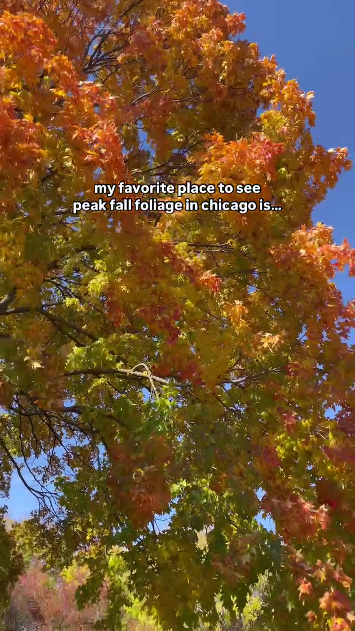 Montrose Harbor