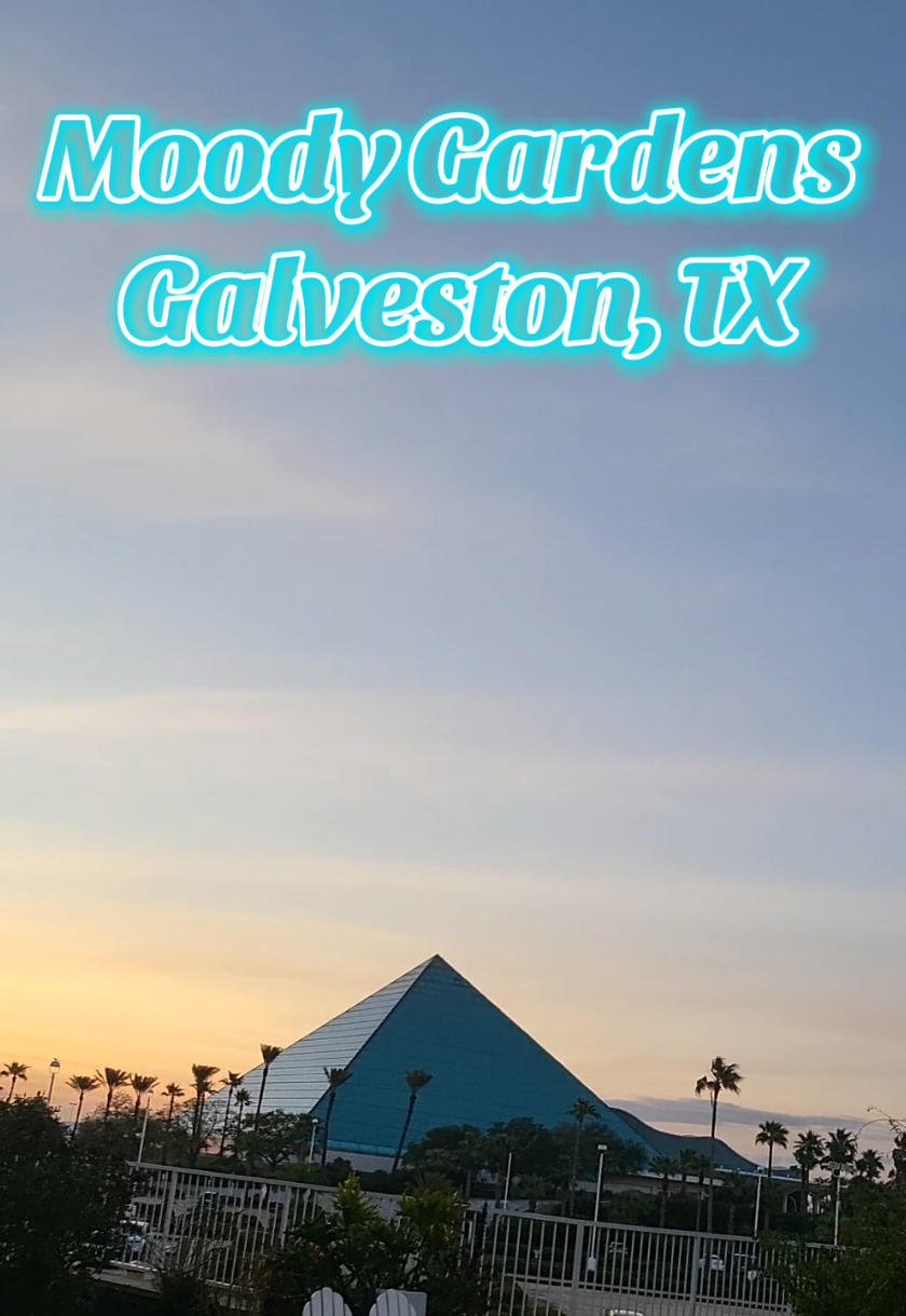 Moody Gardens (Galveston)