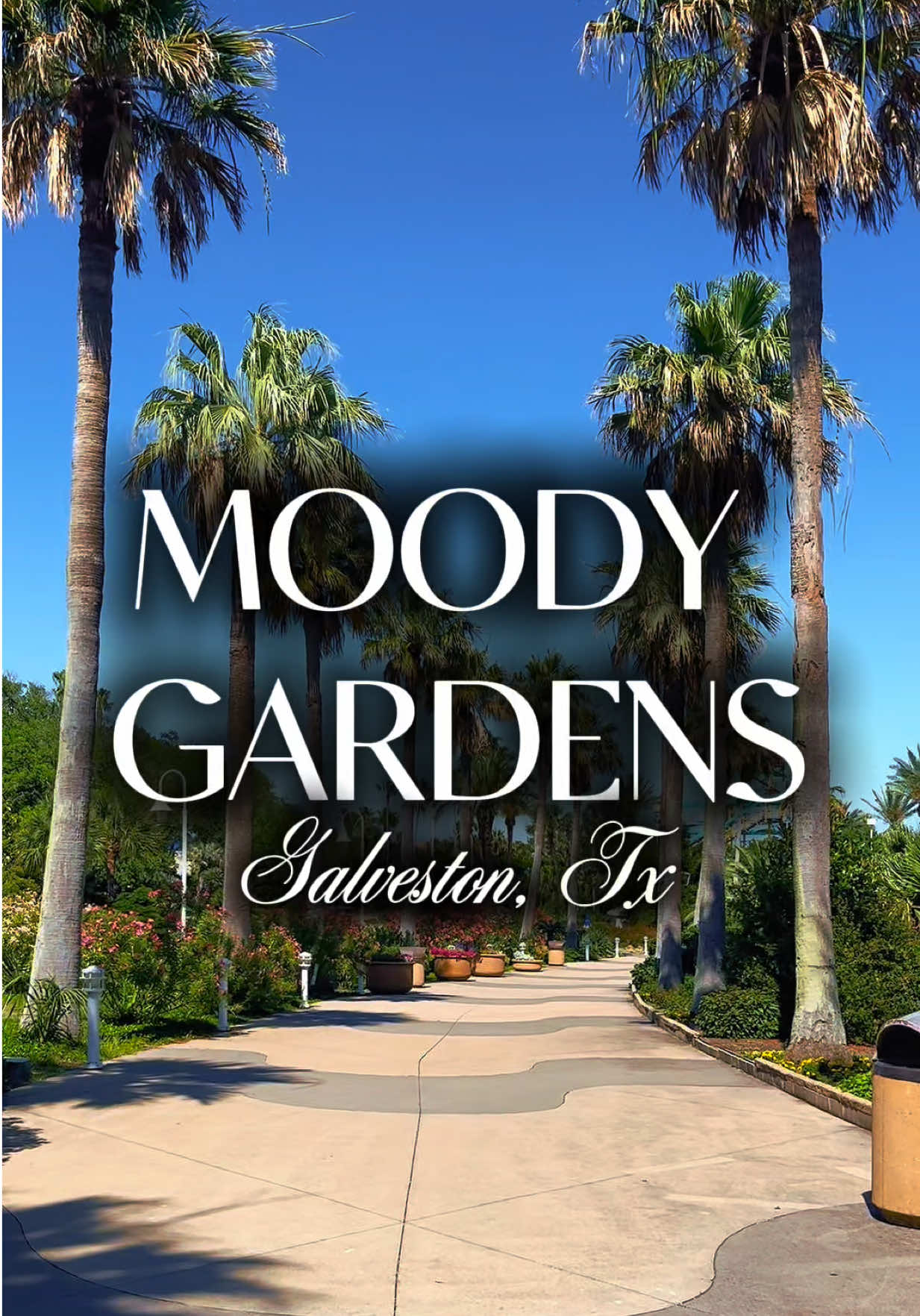 Moody Gardens