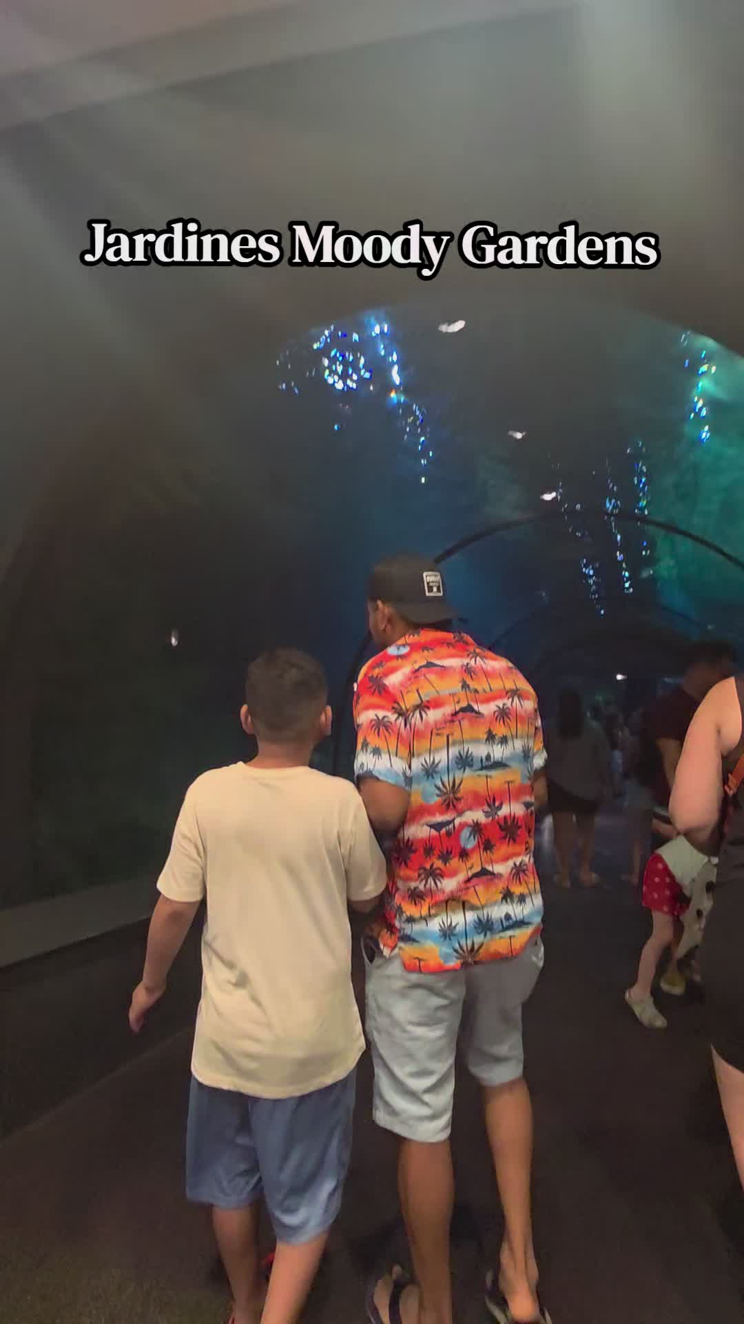 Moody Gardens