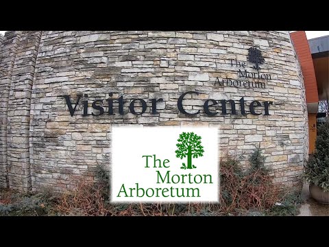 Morton Arboretum