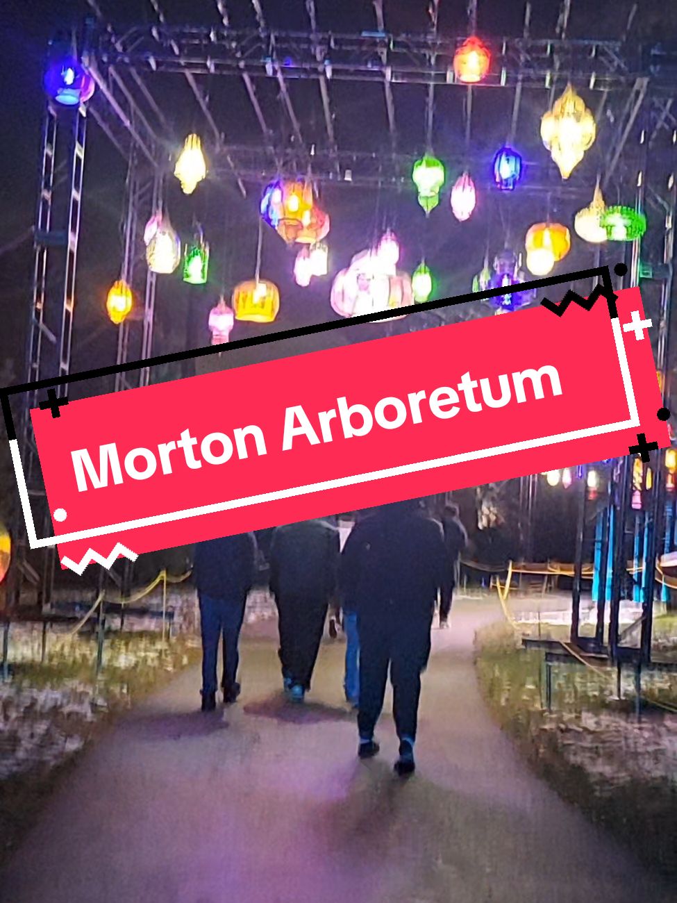 Morton Arboretum